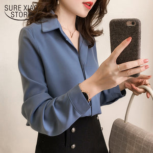 Chiffon Long Sleeve Shirt