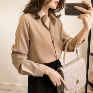 Chiffon Long Sleeve Shirt